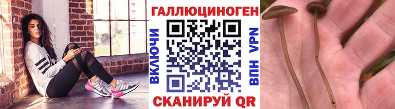 Псилоцибиновые грибы ЛСД  Курск 